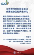 金句海报丨关于全球治理机构改革，习近平主席这样说